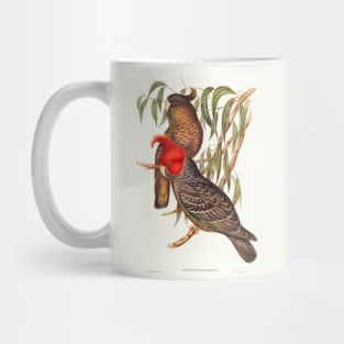 Gang-gang Cockatoo Mug